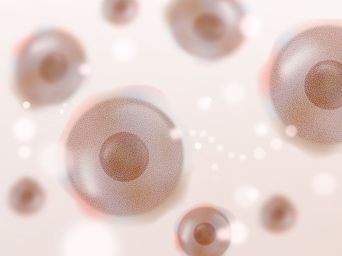 feat0<br />
<b>Warning</b>:  Undefined variable $i in <b>/home/xs171376/reunet.jp/public_html/trial13/wp/wp-content/themes/reutrial/parts/loop_features.php</b> on line <b>20</b><br />
<br />
<b>Warning</b>:  Undefined variable $count in <b>/home/xs171376/reunet.jp/public_html/trial13/wp/wp-content/themes/reutrial/parts/loop_features.php</b> on line <b>20</b><br />
2